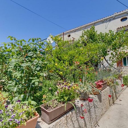 Apartment Carmen Veli Lošinj المظهر الخارجي الصورة